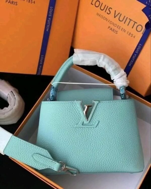 Louis Vuitton Handbags