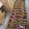 Victoria’s Secret Designer Fragrance Pallet
