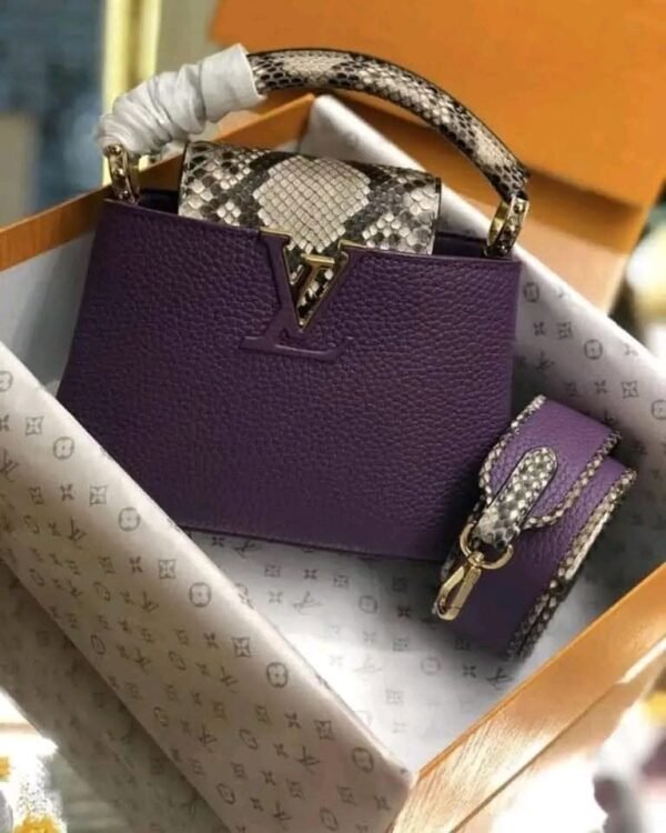 Louis Vuitton Handbags