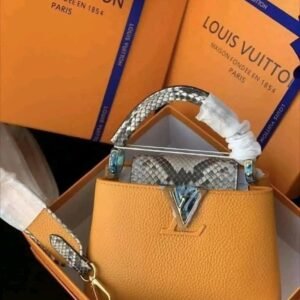 Louis Vuitton Handbags