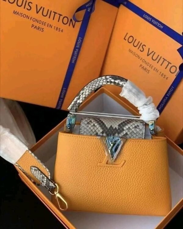Louis Vuitton Handbags